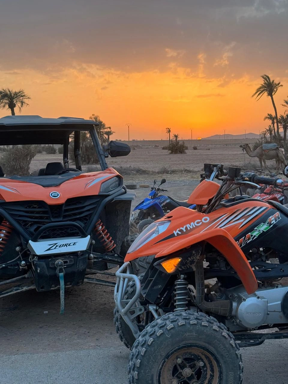 Découverte de la palmeraie de Marrakech en Buggy